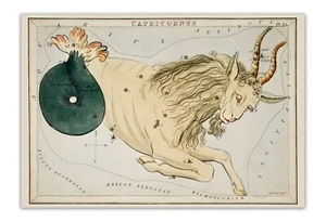1831 Sidney Hall CAPRICORN Illustration Astronomical Chart 13X19" Premium Print - Picture 1 of 3
