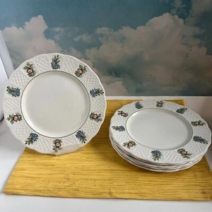 6 Vintage Royal Cauldon Bristol Ironstone "June Garden" Englands älteste Keramik - Bild 1 von 10