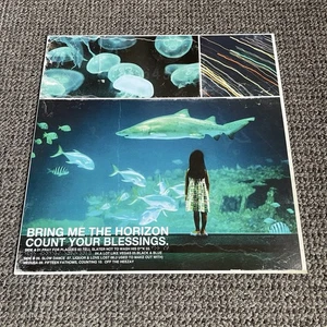 Bring Me The Horizon – Count Your Blessings Vinyl Record BLACK 2016 - Picture 1 of 10