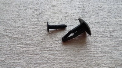 10x PUSH IN SUJETADOR MOLDURA PANEL REMACHE CLIPS 6-8MM COCHE LOTUS  Foto 1 de 4