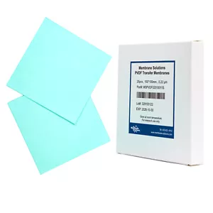 Membrana de transferencia PVDF, poro de 0,22 μm, 100 x 100 mm, hidrofóbica, para Western Blot 25 piezas - Imagen 1 de 5