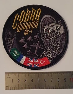 Rare ® Royal Airforce RAF Cobra Warrior 2025 TYPHOON patch on vlkro - Picture 1 of 1