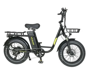 20 Zoll Elektrofahrrad mit Korb 750W 25AH E-City bike 120KM Liefer E-Bike mitGPS - Bild 1 von 13