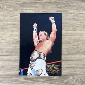 Tarjetas fotográficas WWF WWE 4x6 Wrestlemania Live 1999 Chase 4 Shawn Michaels Heartbreak - Imagen 1 de 6