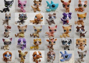 LPS Littlest pet shop chien European cat dogue colley cat dog rare 