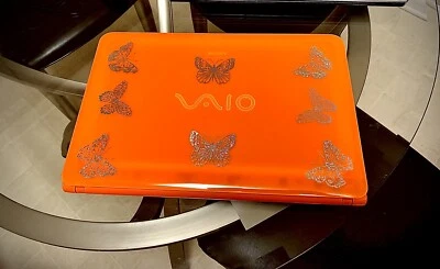 Sony Vaio Foto 1 de 3