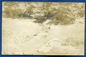 Trout Brook Ashfield Massachusetts mass ma real photo postcard #2 - Picture 1 of 2