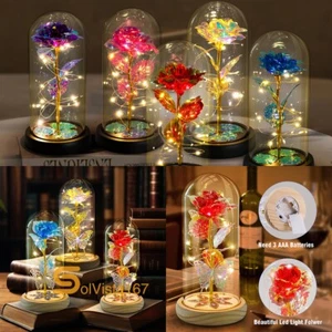 Eternal Forever Romantic Rose Flower In Glass Dome LED Light Mother`s Day Gift - Picture 1 of 102