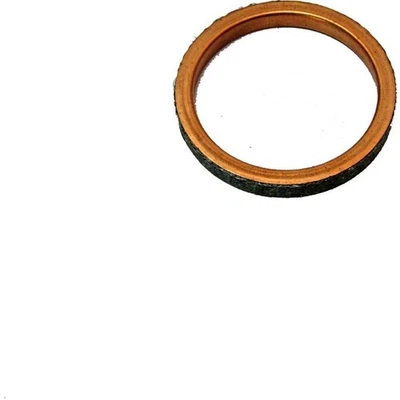 GUARNIZIONE SCARICO CENTAURO 35X41,7X5 per Suzuki 600 GSF Bandit 1995-2004 Foto 1 de 2