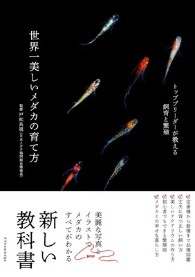 How to keep & raise the world's most beautiful killifish Medaka Guide Book Japan - Image 1 of 4