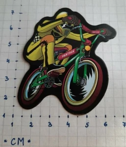 ⭐ 1x Sticker Aufkleber mehrfarbig Skater Auto Fahrrad Mountain Bike BMX - Bild 1 von 1