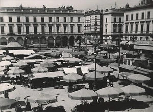TOULOUSE c. 1900-20 - Attelages Marché Place du Capitole Haute-Garonne - NV 1373 - Picture 1 of 2