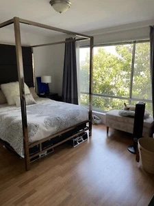 Solivita Champagne Gold Metal Canopy Bed Queen - Picture 1 of 6