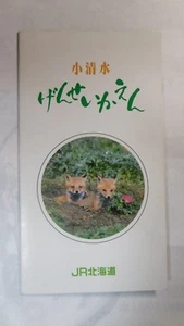 Japan Commemorative Ticket Pass, Koshimizu station, 1980s, Unused - Picture 1 of 4