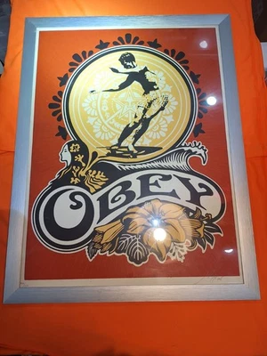 2005 Shepard Fairey HAWAII SKATER Obey Giant Signed Numbered Print 294/300 Frame - image 1 of 4