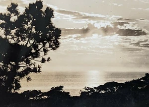 RPPC TORREY PINES Lodge Ocean Sunset Treescape San Diego CA Photo 1924 - Picture 1 of 5