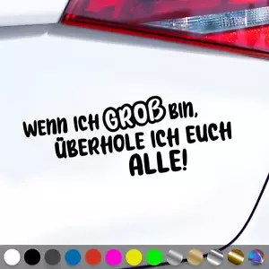 Wenn Ich Groß Bin Aufkleber Überhole Ich Euch Alle Sticker Auto Geschenkidee - Picture 1 of 7