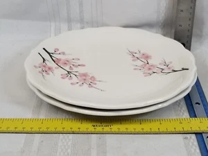 2 SYRACUSE China Restaurant Ware 10" DINNER PLATES Pink Cherry Blossom USA - Picture 1 of 4