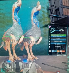 PvE ARK SURVIVAL ASCENDED! M Or F Lv303 Gigantoraptor PC/XBOX/PS5