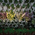 Brighten Up Your Yard with 2Pcs Solar Lavender Outdoor Lights Waterproof Design
