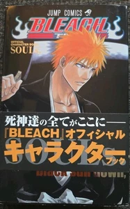 Libro oficial de personajes Bleach ALMAS. JAPÓN Taito Kubo japonés usado - Imagen 1 de 4