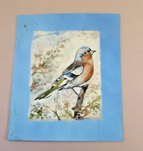 Original Aquarell Gemälde Gimpel von Freda Down - Bild 1 von 1