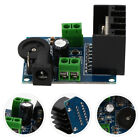 Digital Audio Amp Board - Amp Module