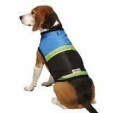 Chaleco de seguridad Kong para perros, talla grande, azul Foto 1 de 1