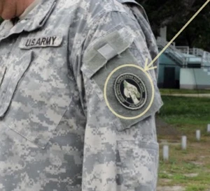 ELITE SP OPS JOINT SPECIAL OPS TASK FORCE PHILIPPINES (JSOTF-P) burdock INSIGNIA - Picture 1 of 12