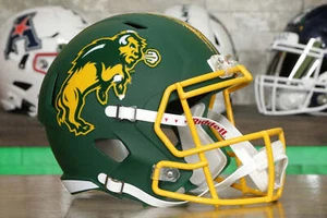 North Dakota State Bison Riddell Speed Display Helmet - Matte Green - Picture 1 of 5