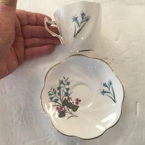 Rosina (?) Taza y platillo ~ Flores azules ~ Vintage años 70 - Imagen 1 de 4