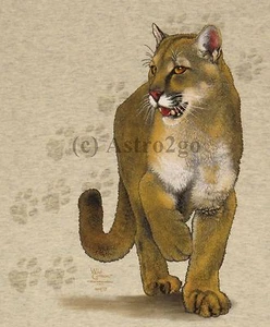 CAT TRAX--Cougar Puma Mountain Lion Panther Feline Nature Science Kids T shirt - Picture 1 of 2