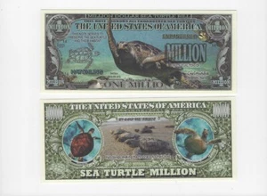 Dollar Wasserschildkröte, Sea Turtle - Bild 1 von 1