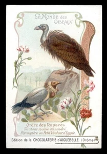 chromo AIGUEBELLE-le monde des oiseaux LE VAUTOUR MOINE ET LE PERCNOPTERE STERC. - Picture 1 of 1
