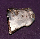 Meteorit Campo del Cielo teilpoliert 37x32x13mm 32,9g 陨石
