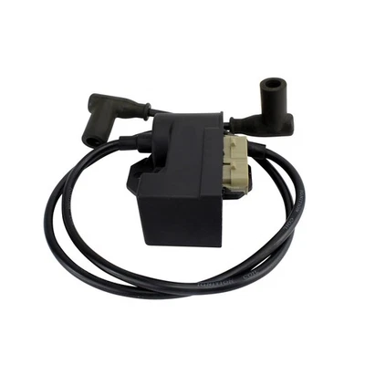 Módulo de encendido Ducati CDI probado para Polaris 500 600 700 XC RMK 1997-01 2201163 Foto 1 de 4