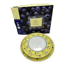 Royal Doulton Blueberry 3 PIECE BOX SET Salad & Dinner Plate Soup Bowl 2005
