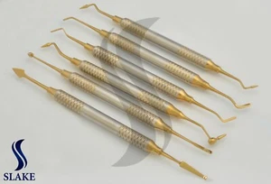 6-teiliges Dental Composite Füllinstrument vergoldetes Wiederherstellungsset - Bild 1 von 3