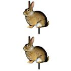 2pcs bunny yard decor ornament rabbit garden ornaments Lawn Bunny Stake
