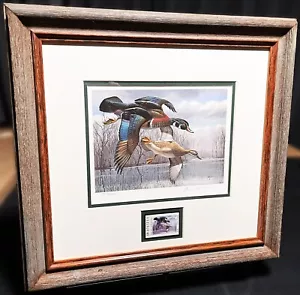 Stampa timbro David Maass 1984 Texas Waterfowl Duck con timbro - cornice nuova - Foto 1 di 7