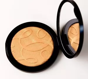 Guerlain Terracotta Sun in the City Highlighter - Picture 1 of 4