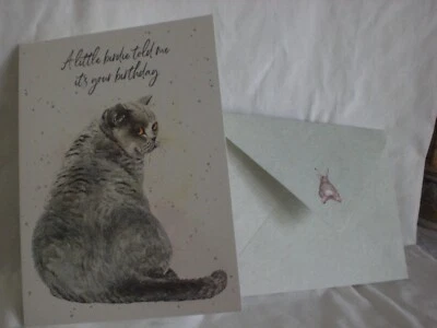 Hopper Studios - Cumpleaños - Un gato gris en la portada Foto 1 de 2