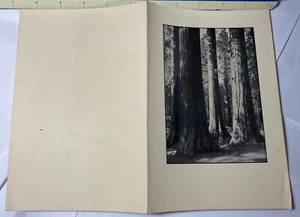 "MENÚ YOSEMITE AHWAHNEE Oct 30 37 5.5x8-.5" Ansel Adams Mariposa Grove Árboles Grandes - Imagen 1 de 2