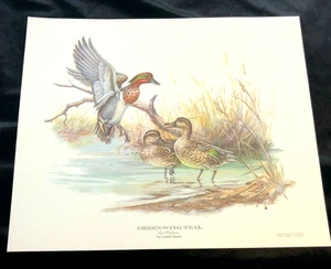 Vintage Lowell Davis Print Green-Wing Teal 12x10 - Bild 1 von 8