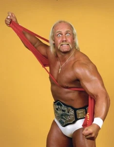 Hulk Hogan 8x10 Photo Wrestling WWF Print WWE Poster HULKAMANIA AWA WCW NWO - Picture 1 of 1