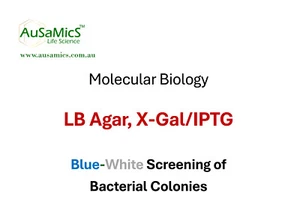 Paquete X-Gal (500MG), IPTG (500MG) y LB Agar (250G) para Biología Molecular - Imagen 1 de 2