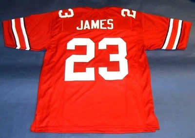 CAMISETA ESTILO UNIVERSITARIO PERSONALIZADA LEBRON JAMES Foto 1 de 2