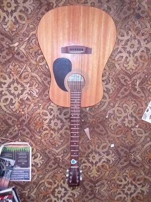 Guitarra acústica artesanal Hohner HW300G Foto 1 de 4