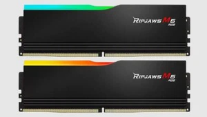 G.SKILL F5-6000J3648D16GX2-RM5RK GB (2 x 16GB)/ DDR5 6000 MT/s/ Timings 36-48... - Picture 1 of 1