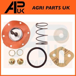 David Brown 1294 1390 1394 1410 1412 1490 1494 1594 Tractor Fuel Pump Repair Kit - Picture 1 of 2